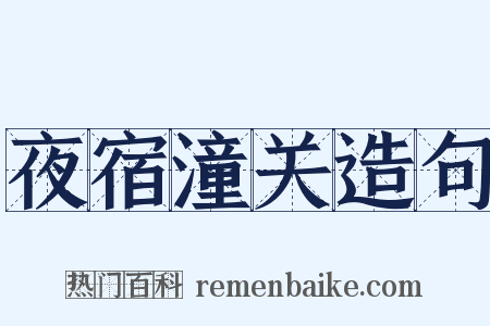 夜宿潼关造句是什么意思的图片
